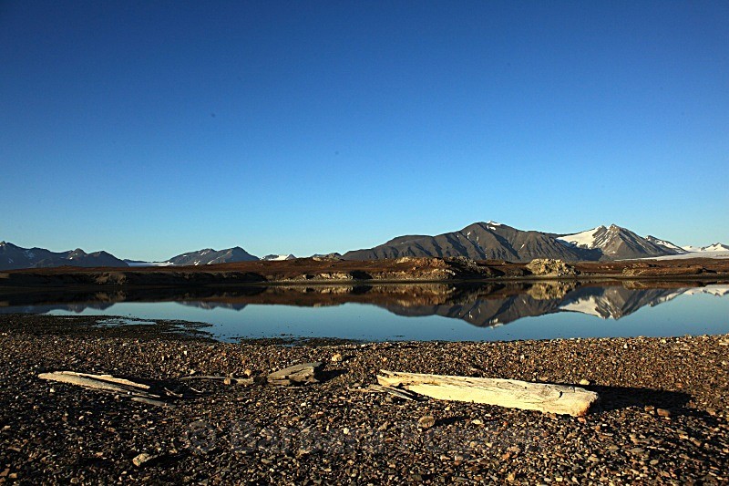 7000 years old whale bones 4574 - Autumn
