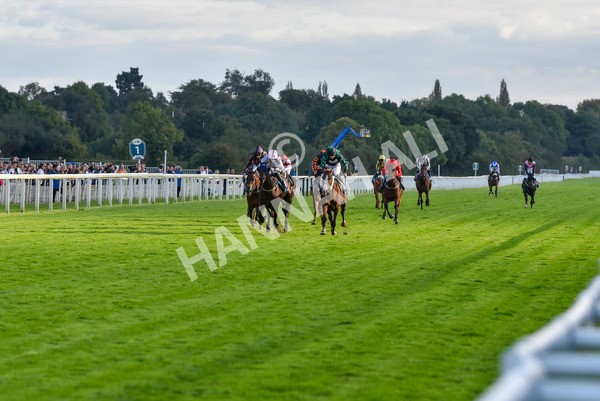 230923-Race 6-September Power-6995 - Race 6 4.55pm New To York Rio Brazilian Handicap