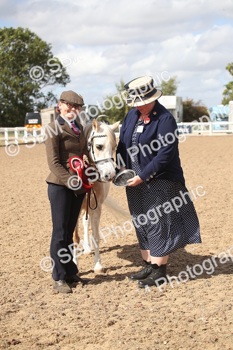 SBM_23472 - Class 604 - 2026 - Area IH Diamond