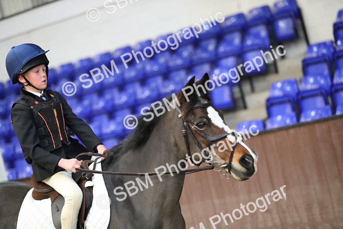 SBM_000141 - Class 1 - Show Jumping 50cm