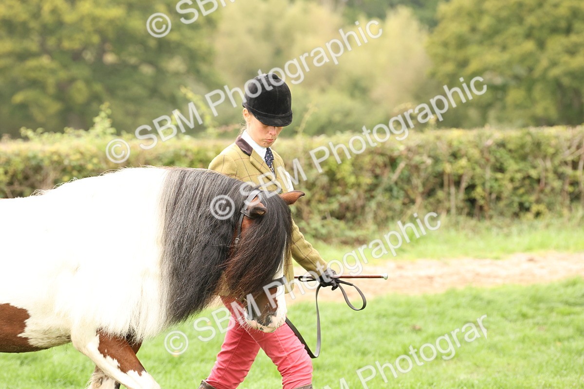 SBM_59223 - S57 - Traditional Cob In Hand