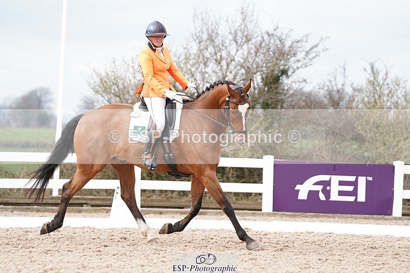 250322-130800-00449 - DR Elementary 2 Test