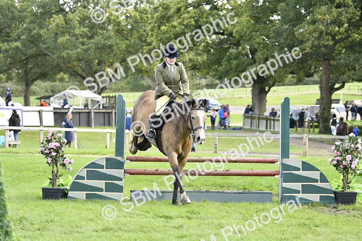 SBM_45762 - S33 - Working Hunter Pony