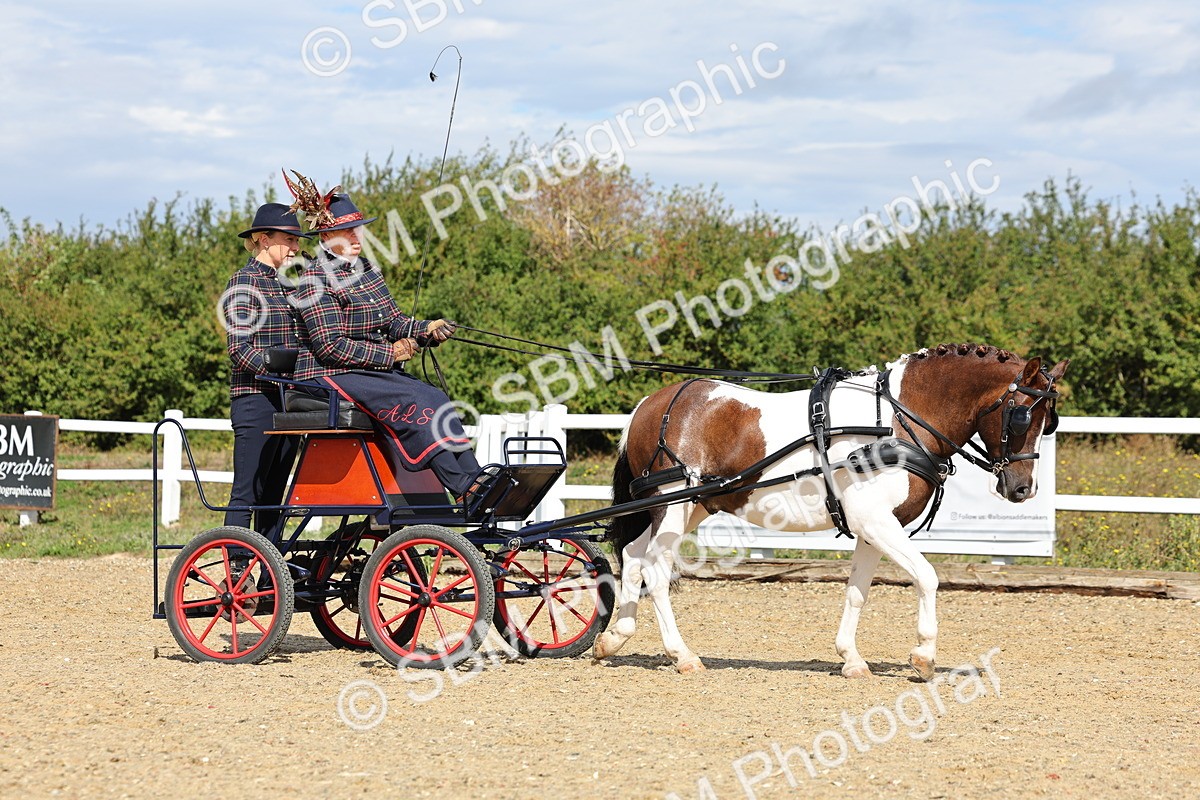 SBM_000874 - Class 8 - Novice Horse or Pony to any vehicle