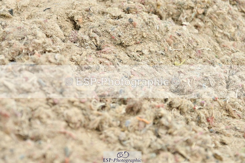 230701A-132555-06319 - Cls 12, 15 + 19 Music Medium, Adv Medium + Inter I