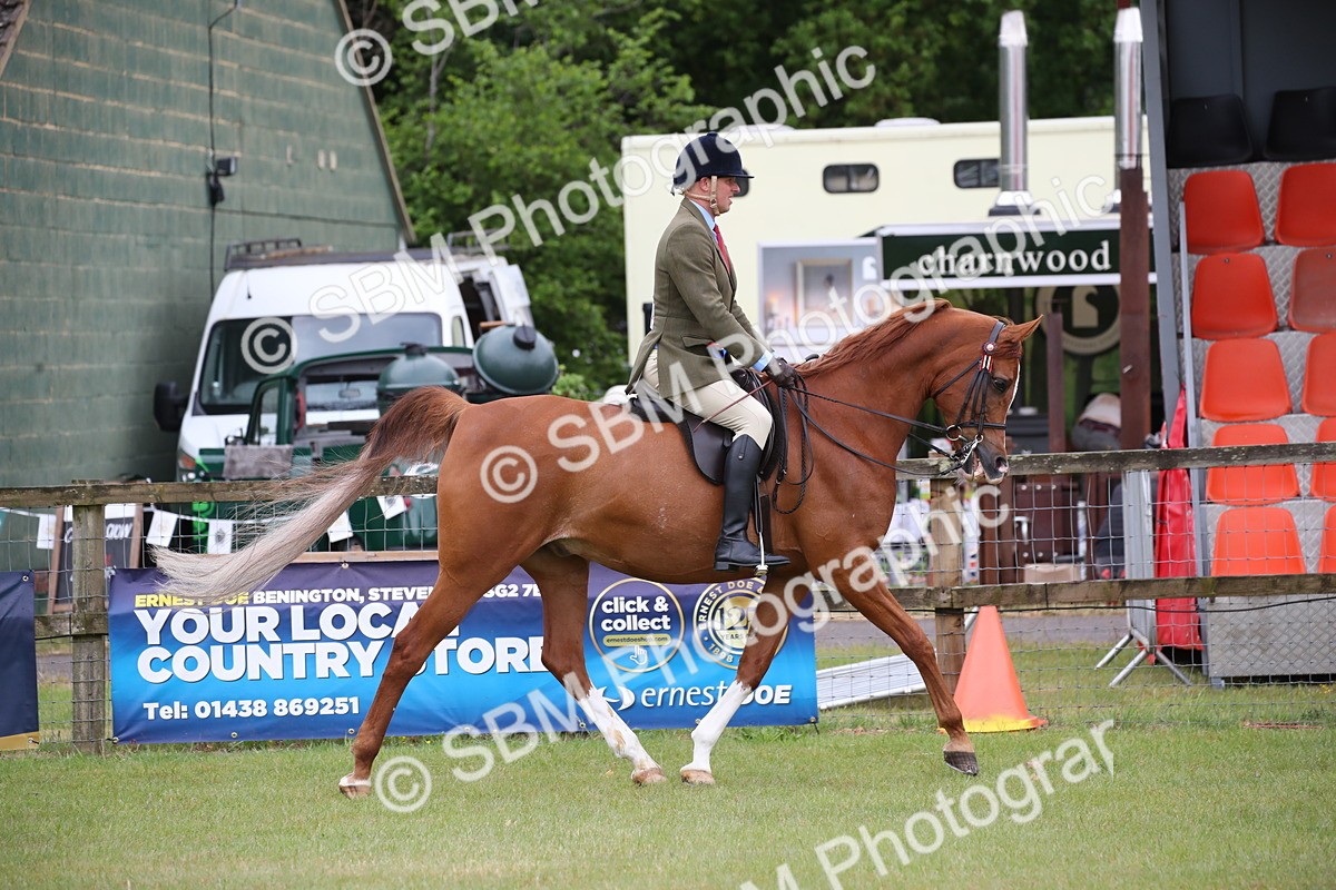 SBM_03662 - Class 21 - 22 - Ridden Arab and Part Bred/Anglo Arab