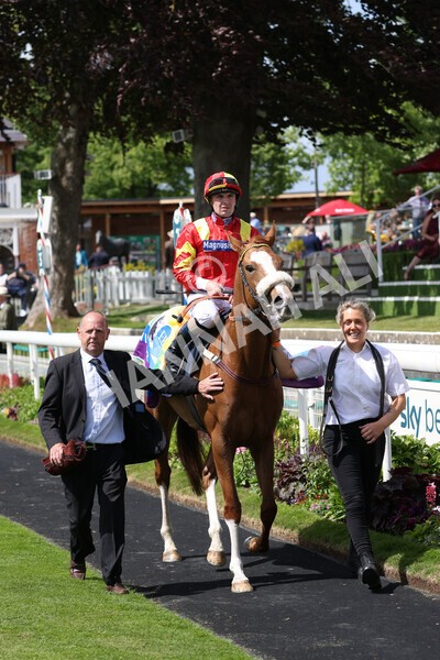 yr10062022r3-49 - Race 3 3.00pm British EBF supporting Racing with Pride Fillies' Handicap