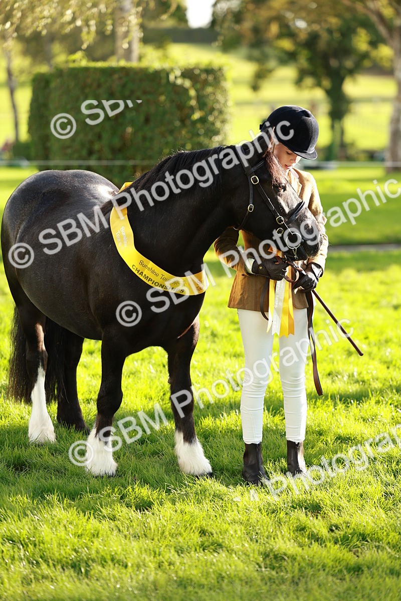SBM_29279 - Novice & newcomer Supreme Championship