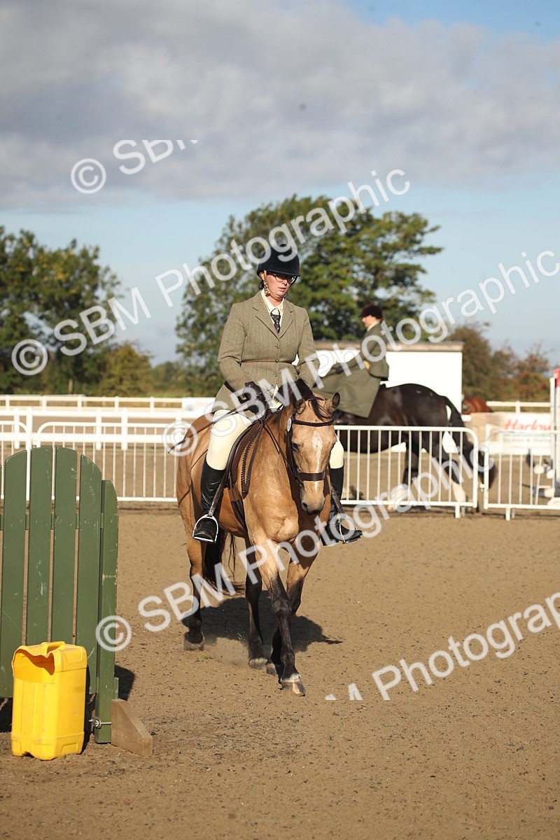 SBM_11562 - Class 502 - Riding Club Horse