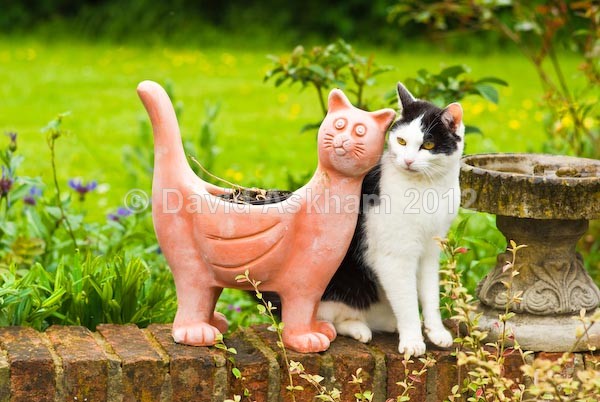 Soul mates - Humour