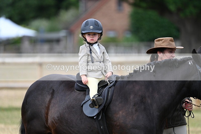 WJ7_9794 - Class 1 Lead Rein Pony