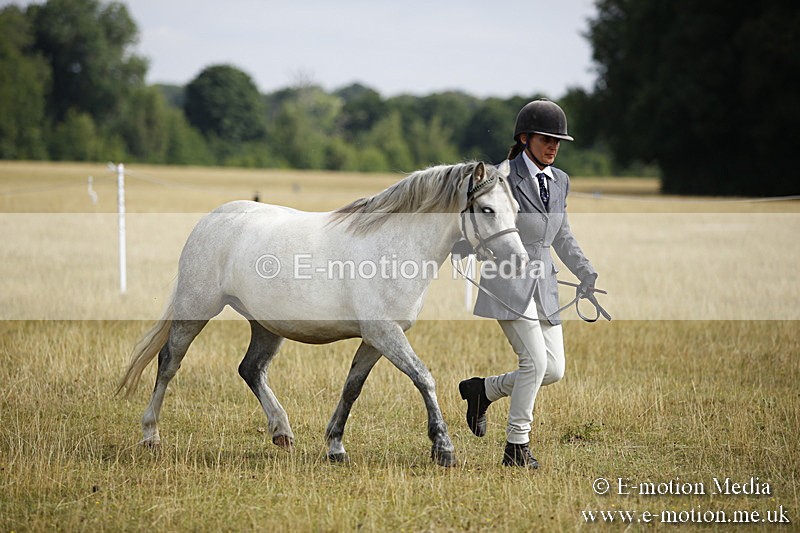 _C7A9249 - BVRC Sow 2018 Ring 2