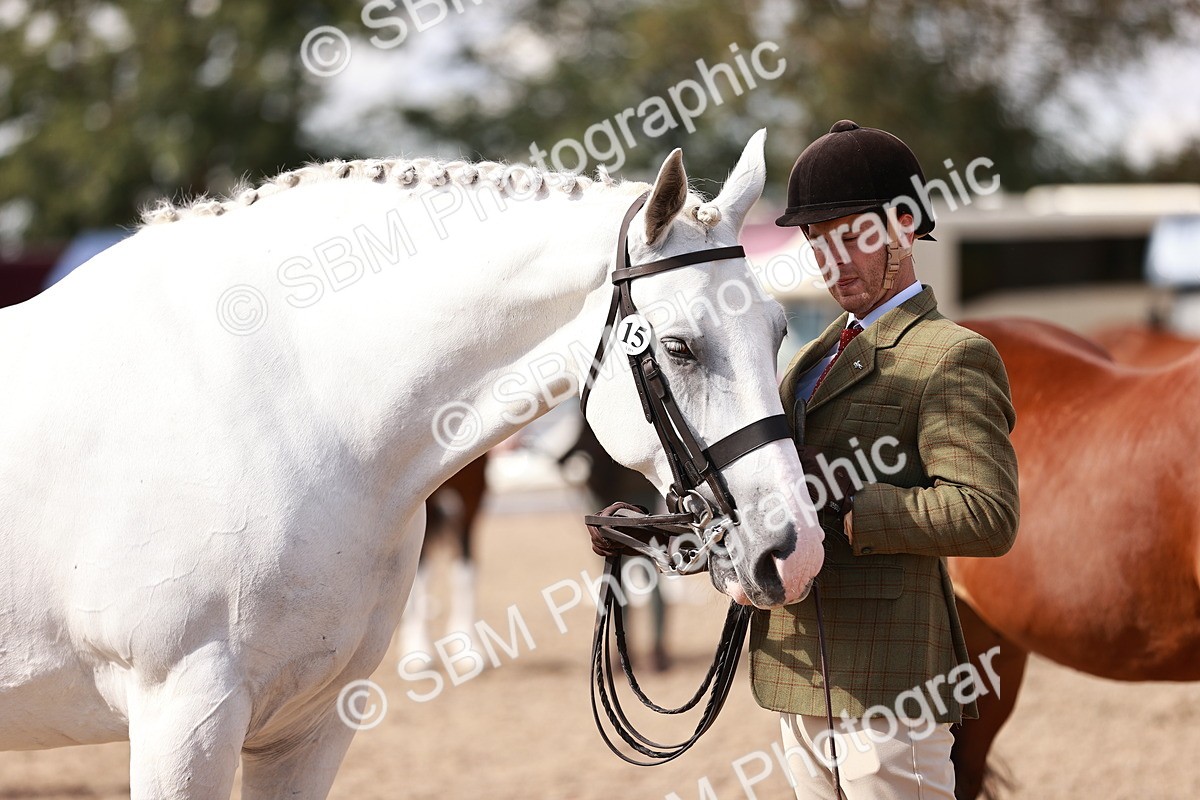 SBM_13353 - class 406 - IH Hunter