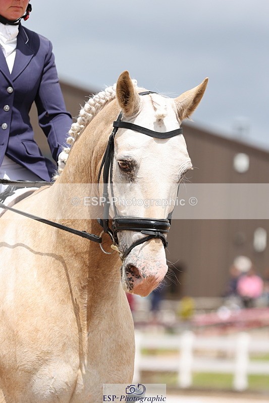 240622A-140703-11914 - Cls 29 BD Elementary 45