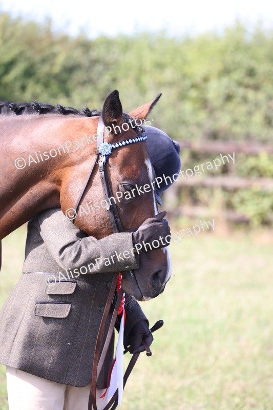 20260906-0717 - Class 22 - Ex Racehorse