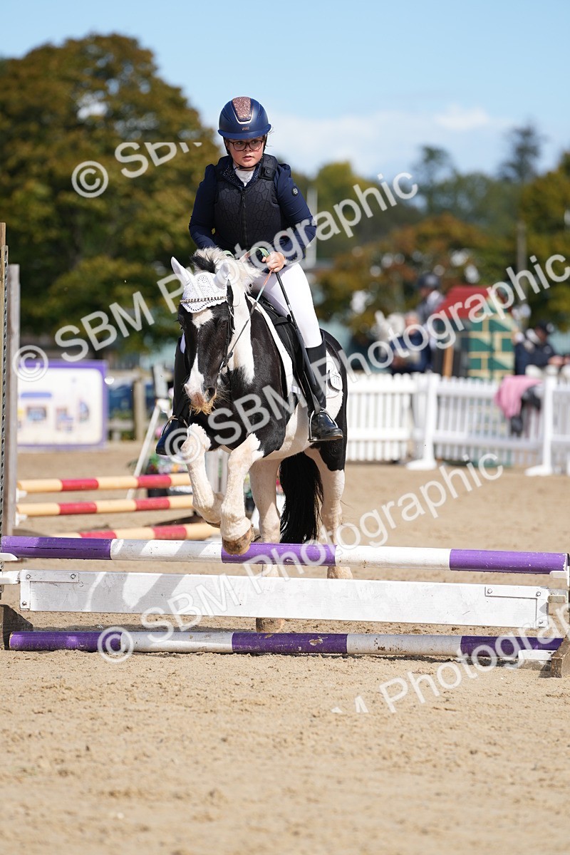 SBM_19865 - J49 - Open 50cm