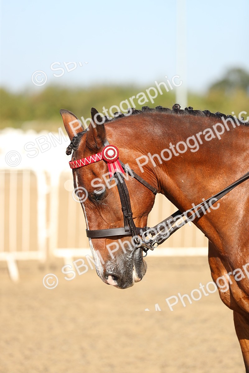SBM_01206 - Class 42 Ridden Veteran