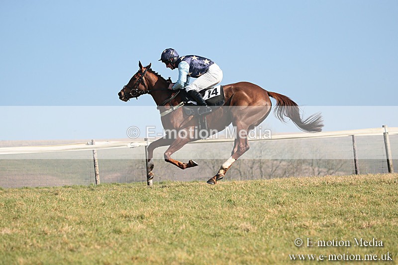 PtP 230219 115 - Vine & Craven Point-To-Point - Barbury 23/02/19