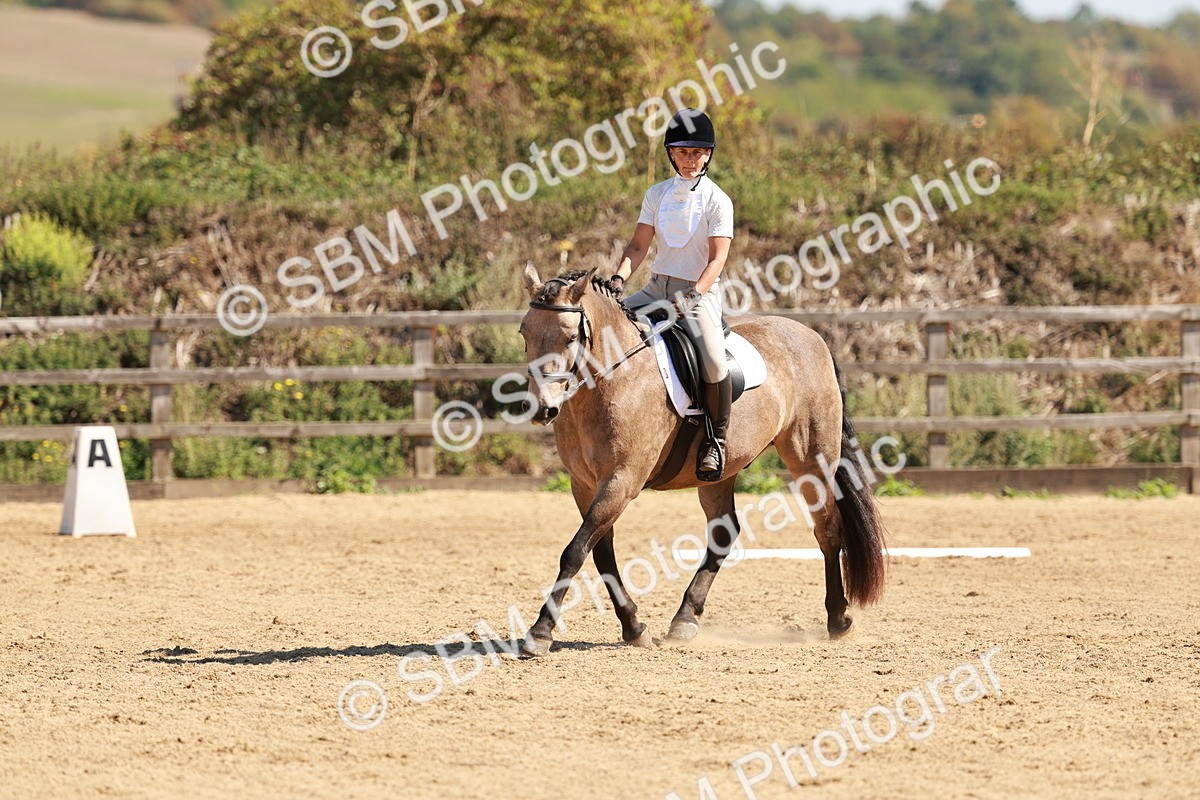 SBM_010613 - Class 4 - Prelim 3