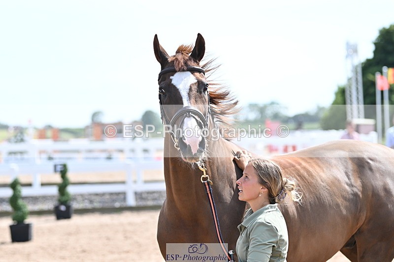 240717A-152718-02837 - Trot Up 3pm to 4pm