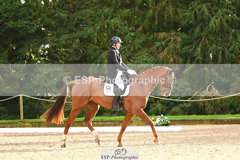 231021-151256-20787 - 256-GOODFELLA.GIO-Finley.Atherton-DR