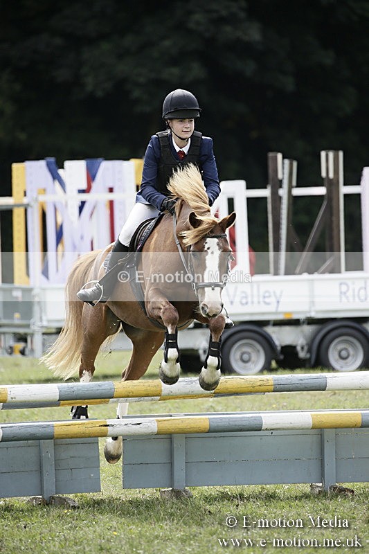 BVR090918 595 - BVRC Dressage and Show Jumping 09/09/18
