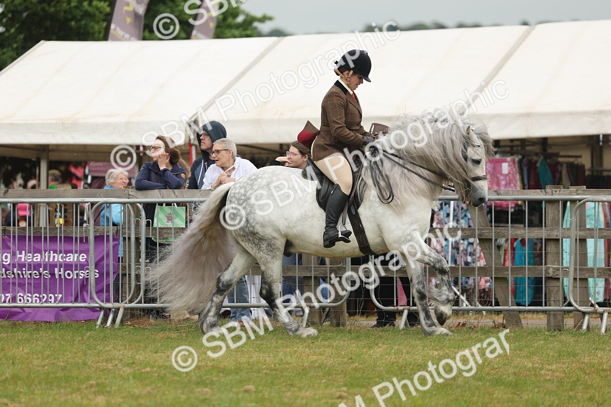 SBM_08945 - Class 78-80 - Ridden M&M Non Welsh Ponies
