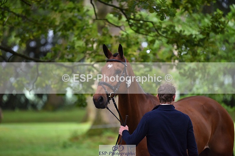 240522-170918-01423 - 241-CLASS_ROMANCE-Jack_Pinkney