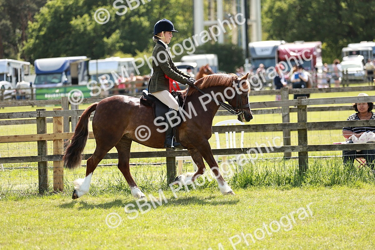 SBM_08472 - Class 61-62 - TSR  M&M Ridden Amateur of the Year