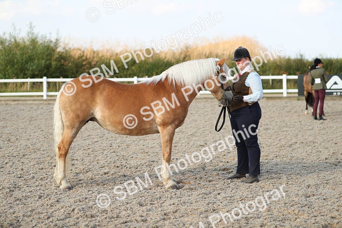 SBM_09040 - Class 29 IH Veteran Pony