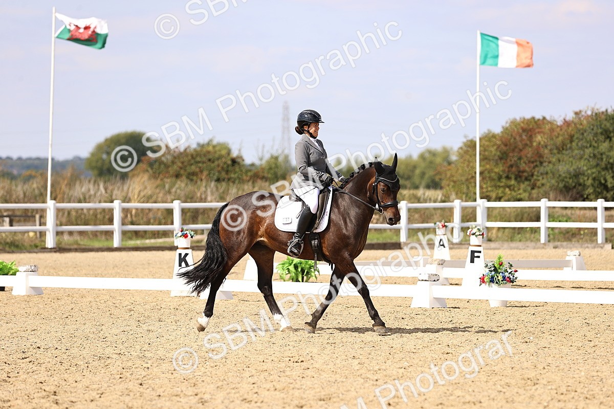 SBM_015018 - Class 6 - Elementary 5