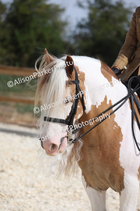 20260802-0483 - Class 6 - Veteran Ridden