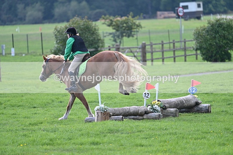 WJ7_3539 - 40cm Time 10:08 to 10:25