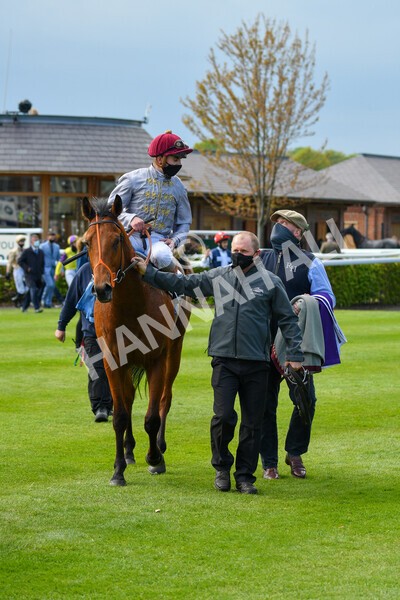 yr13052021r6-44 - Race 6 4.15pm Constant Security EBFstallions.com Maiden Stakes