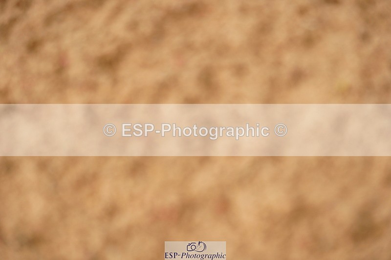 240526A-111418-07769 - Cls 26 Chard Equ 1.05m and 1.10m Grand Prix