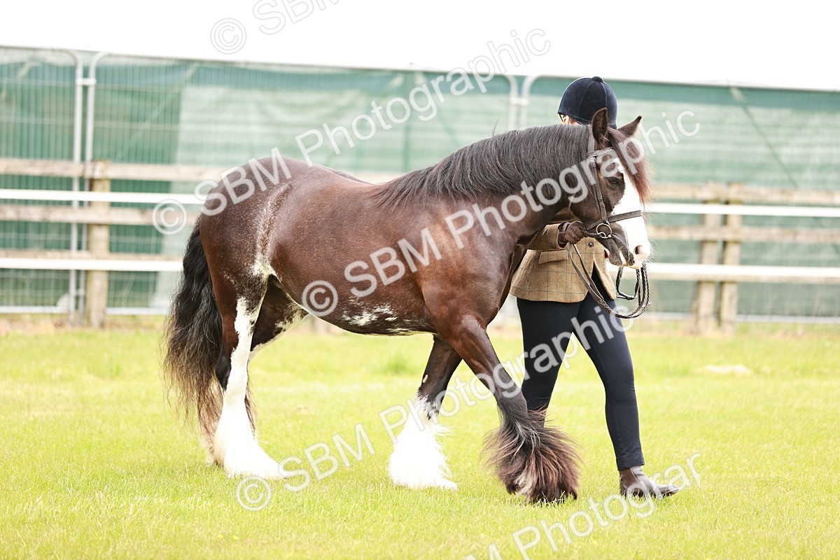 SBM_04625 - Class 5-8 - BSPA In hand