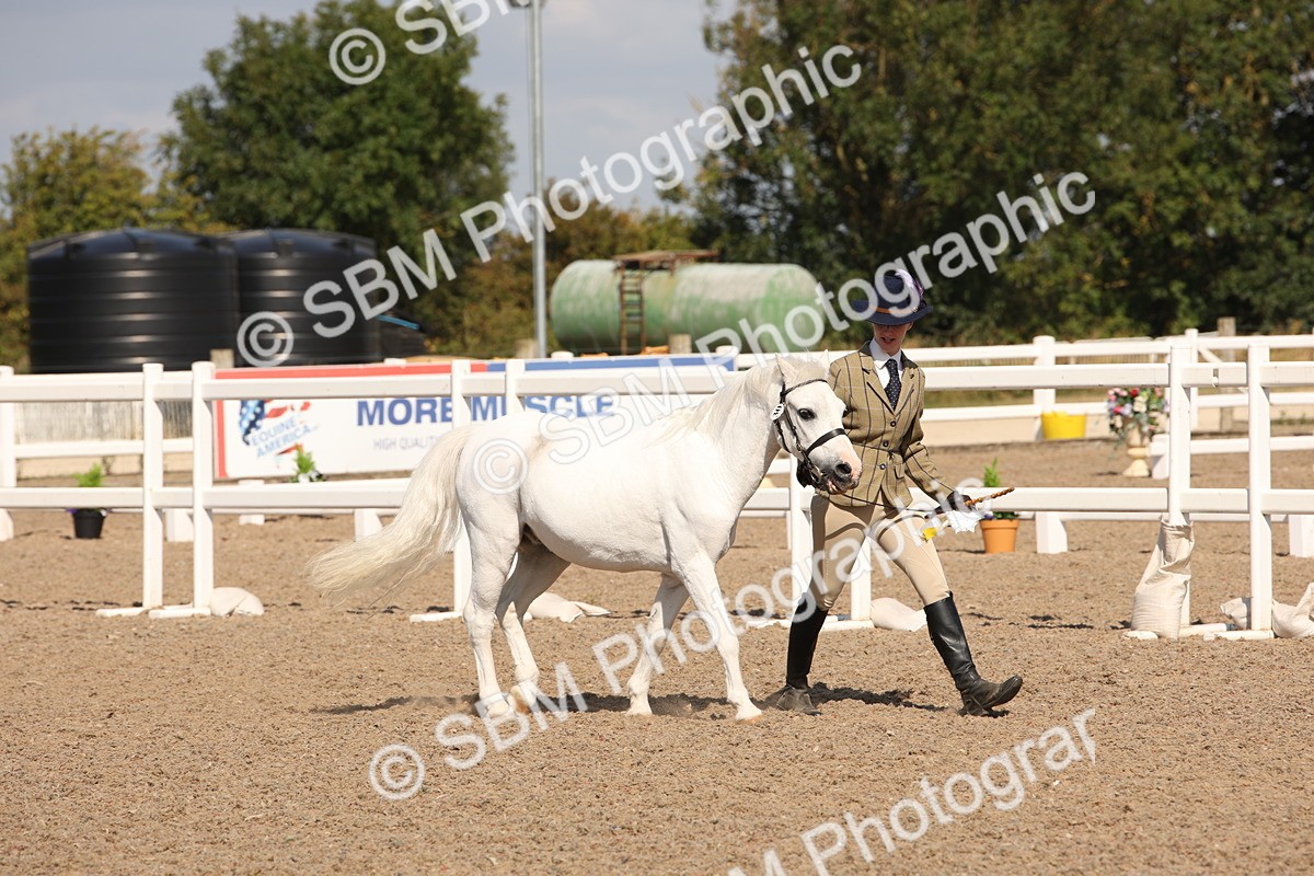 SBM_02833 - Class 16 IH M&M Wildcard