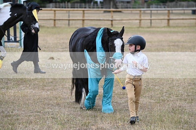 WJ6_8776 - Class 11 Fancy Dress