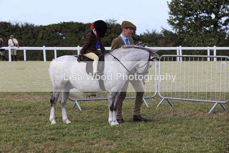 1X9A5493 - M&M Mini Ridden Championship