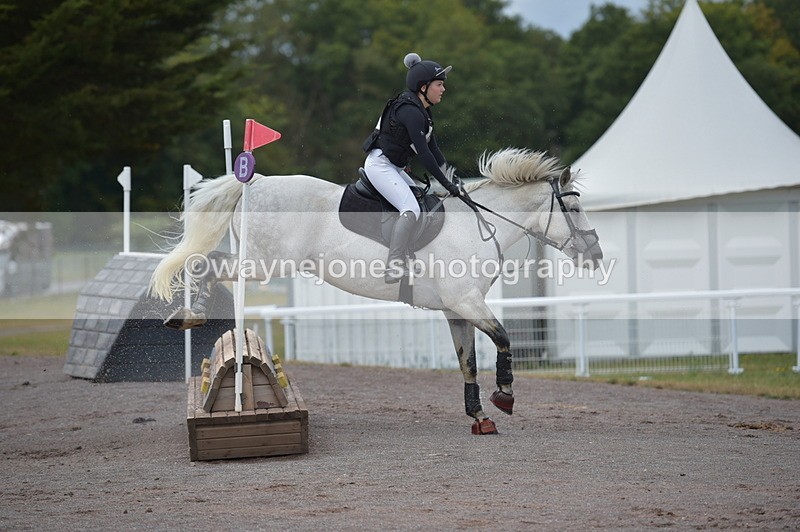 NGP_1950 - XC Time 11:20 to 11:36