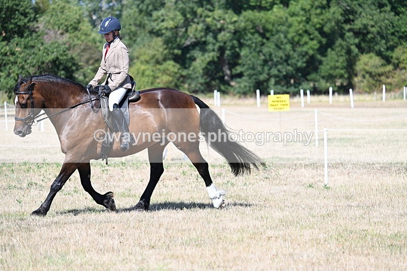 WJ7_3929 - Class 9 Mountain & Moorland Ridden