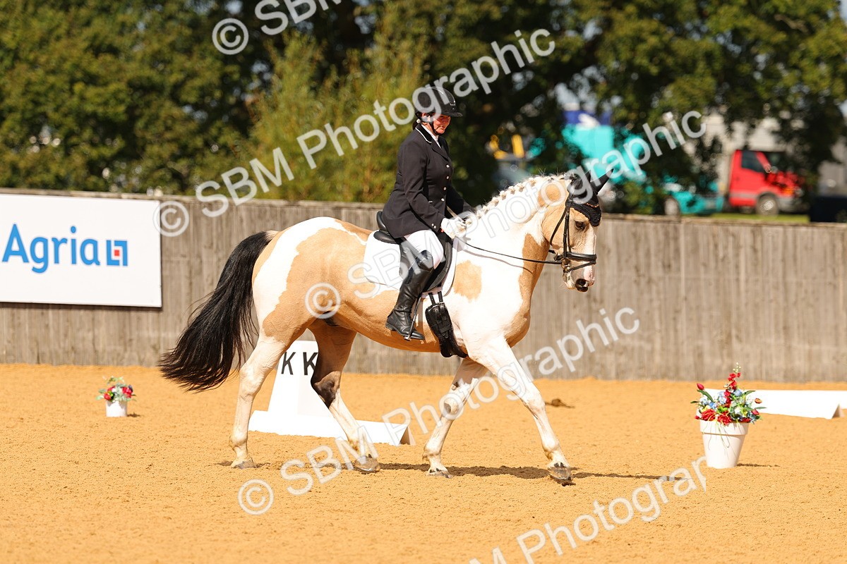SBM_40311 - D14 - Grand Tour Championship - Prelim 14