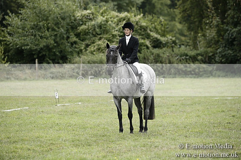 BVR080918 333 - BVRC Novice Dressage & CR 08/09/18