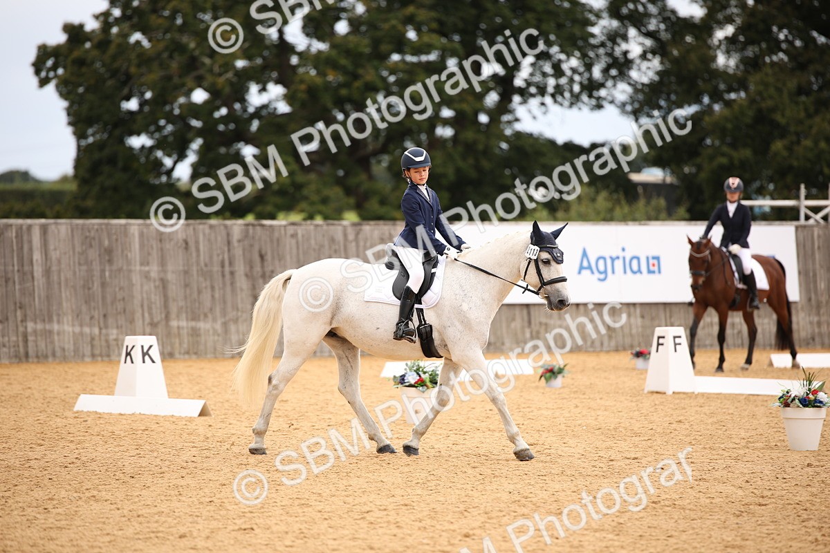 SBM_12212 - D3 Small  Tour Championship Intro A