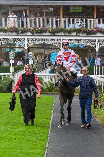 080924-Race 7-Young Fire-9770 - Race 7 5.10pm Elevator Company Amateur Jockeys' Handicap