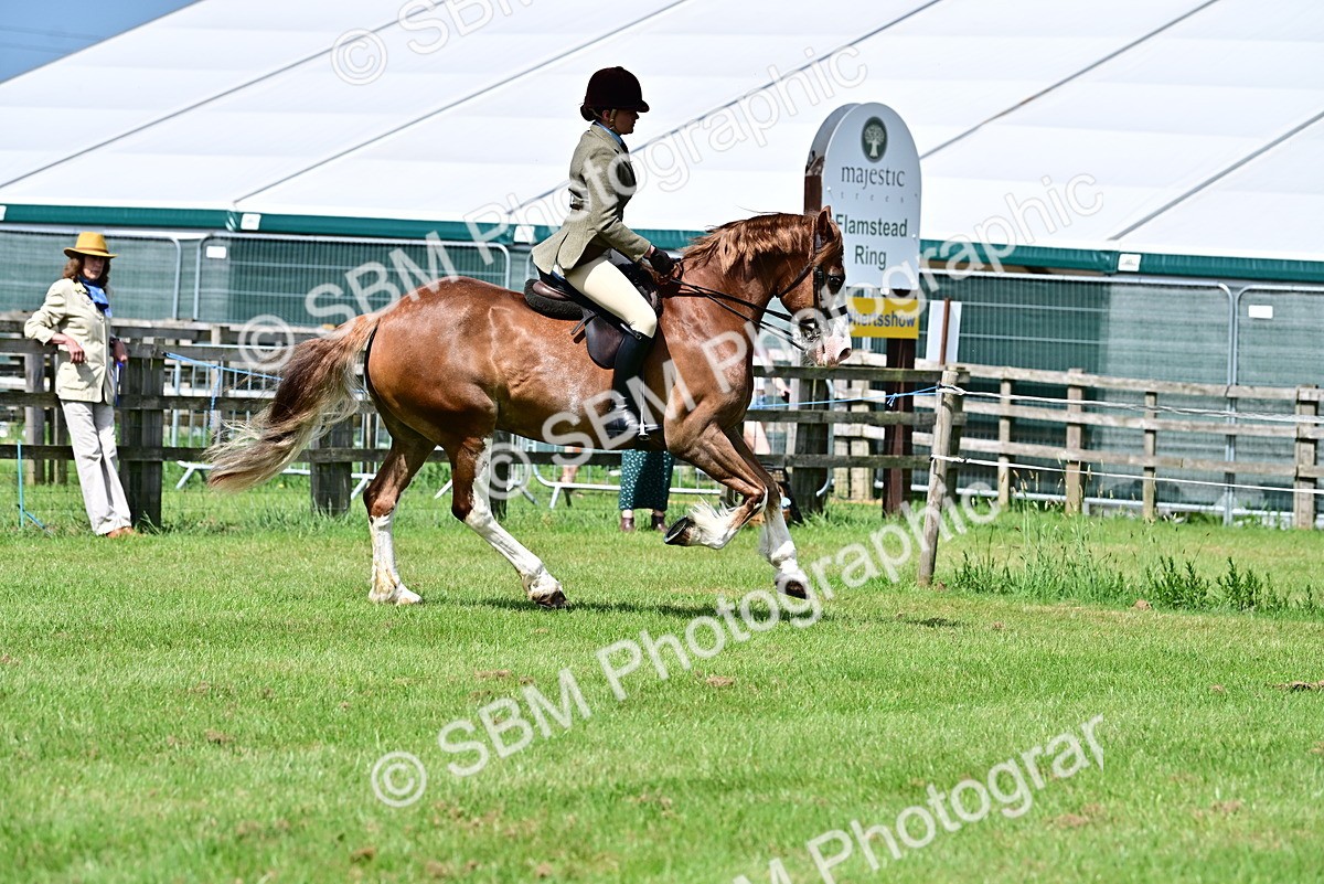 SBM_03738 - Class 58 - TSR  Ridden Veteran Amateur of the year