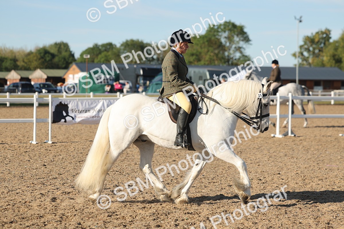 SBM_11017 - Class 302 - Ridden M&M Large Breeds