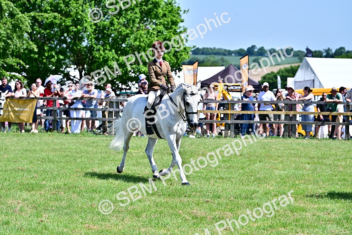 SBM_15282 - Class 95-97 - BSPS LHS Performance Ponies