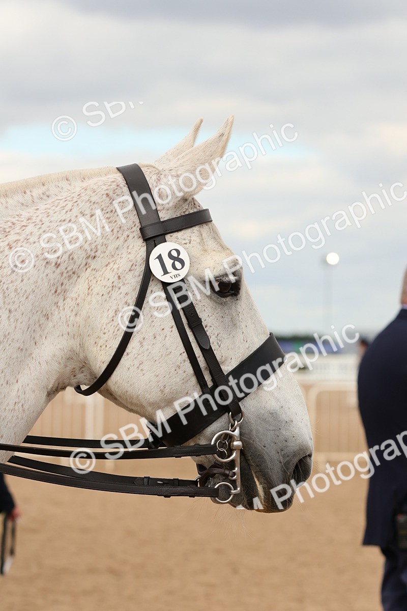 SBM_15547 - Class 214 - Ridden Show Cob