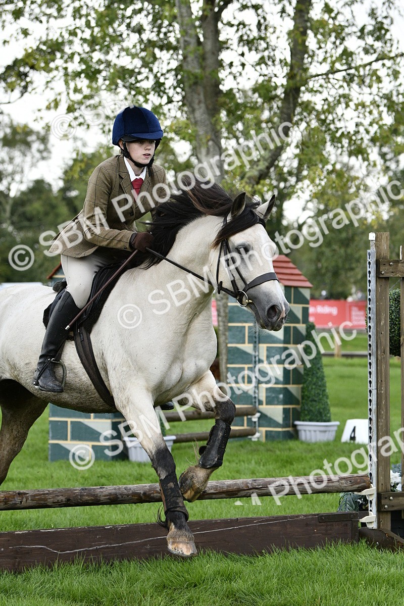 SBM_41527 - S32 - Mountain & Moorland Working Hunter Pony